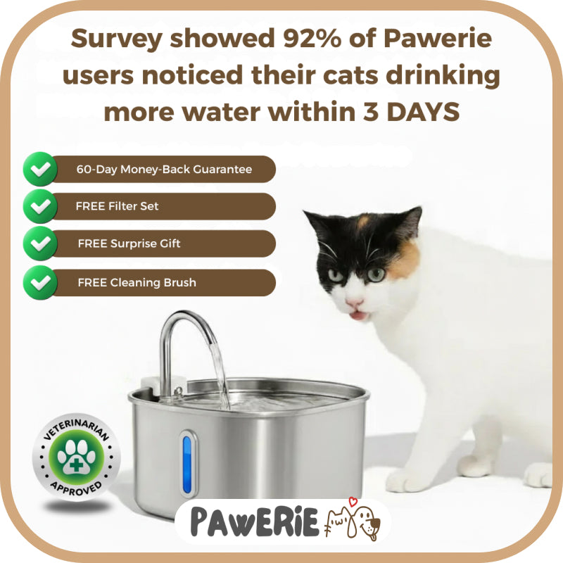 Pawerie™ Stainless Steel Cat Water Fountain – Clean, Quiet & Healthy Hydration