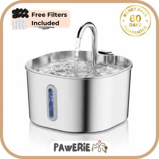 Pawerie™ Stainless Steel Cat Water Fountain – Clean, Quiet & Healthy Hydration