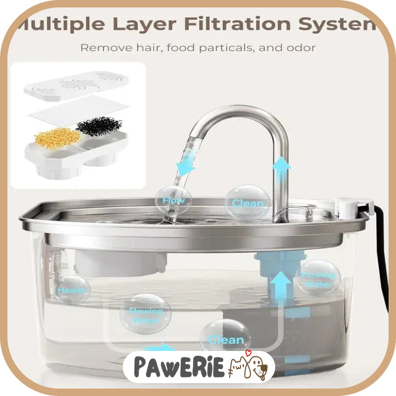 Pawerie™ Stainless Steel Cat Water Fountain – Clean, Quiet & Healthy Hydration