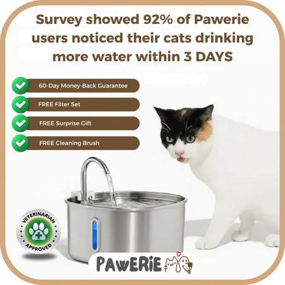 Pawerie™ Stainless Steel Cat Water Fountain – Clean, Quiet & Healthy Hydration